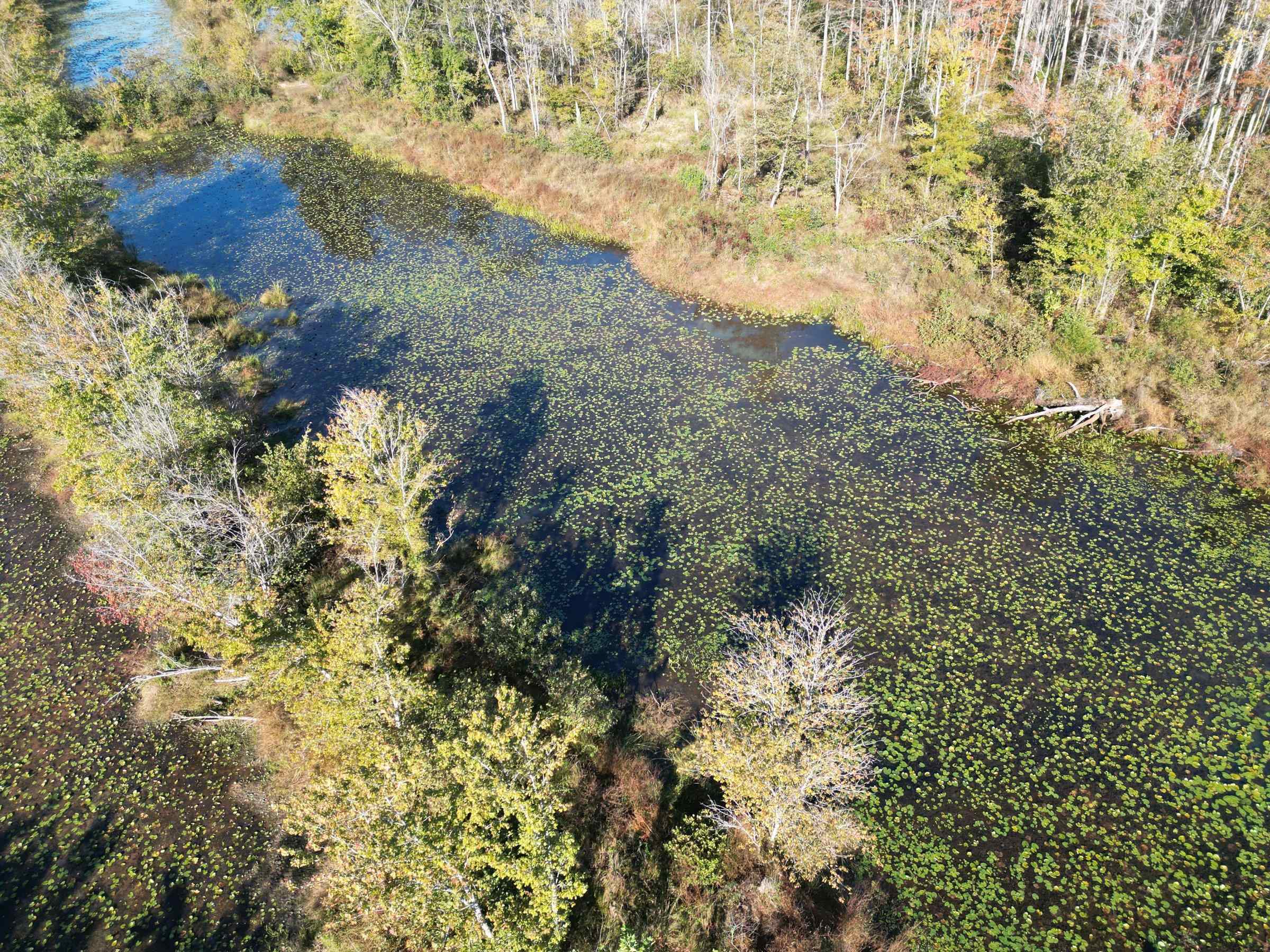 Tract 3 Overton Loop Property Photo 9