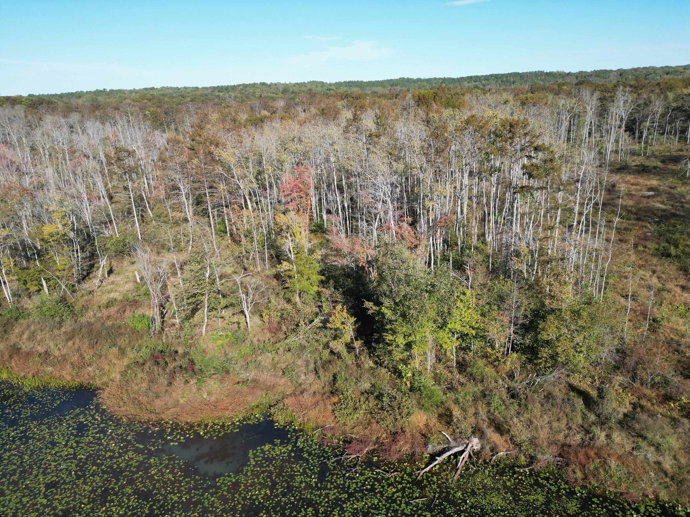 Tract 3 Overton Loop Property Photo 10