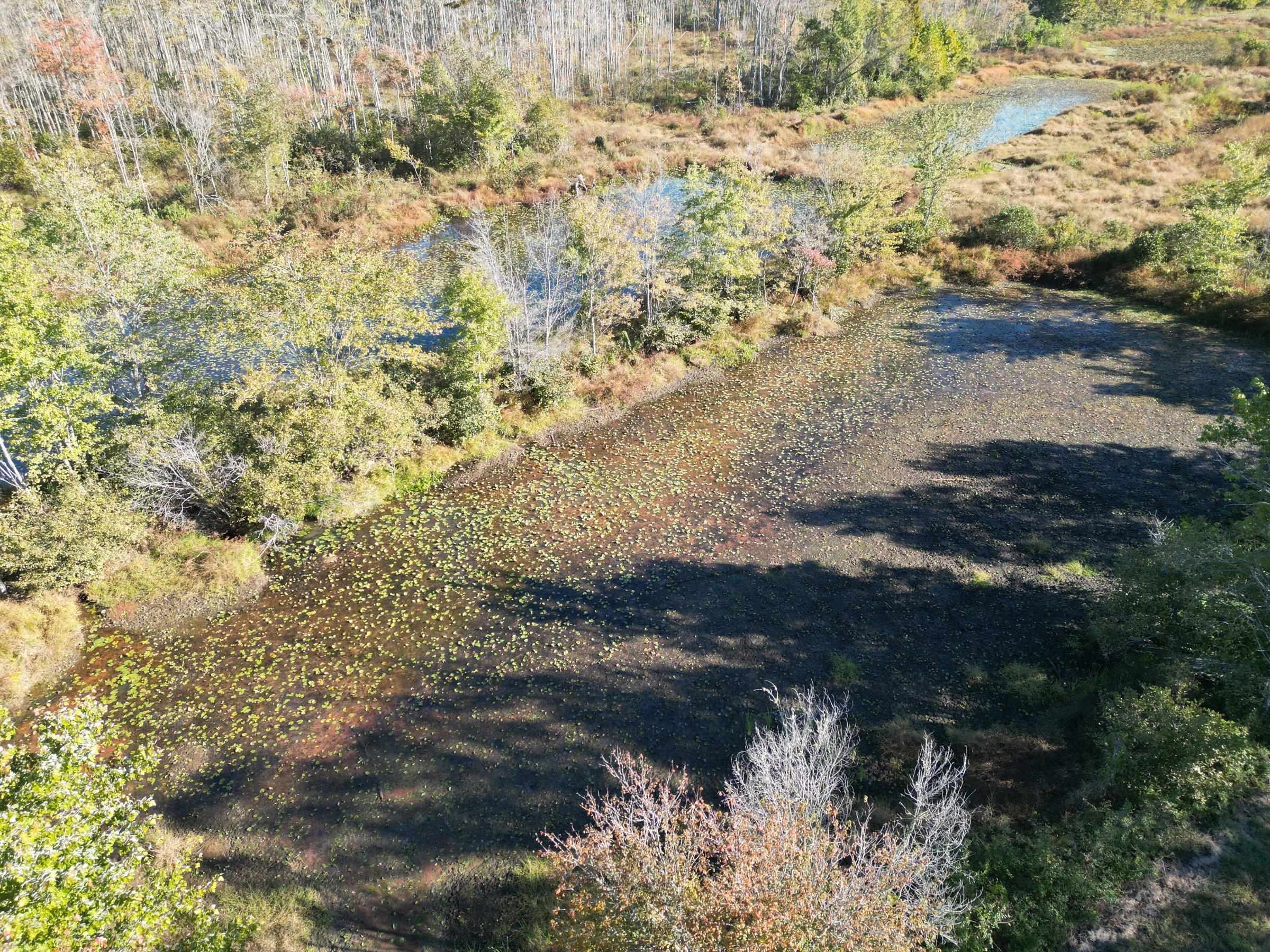 Tract 3 Overton Loop Property Photo 12