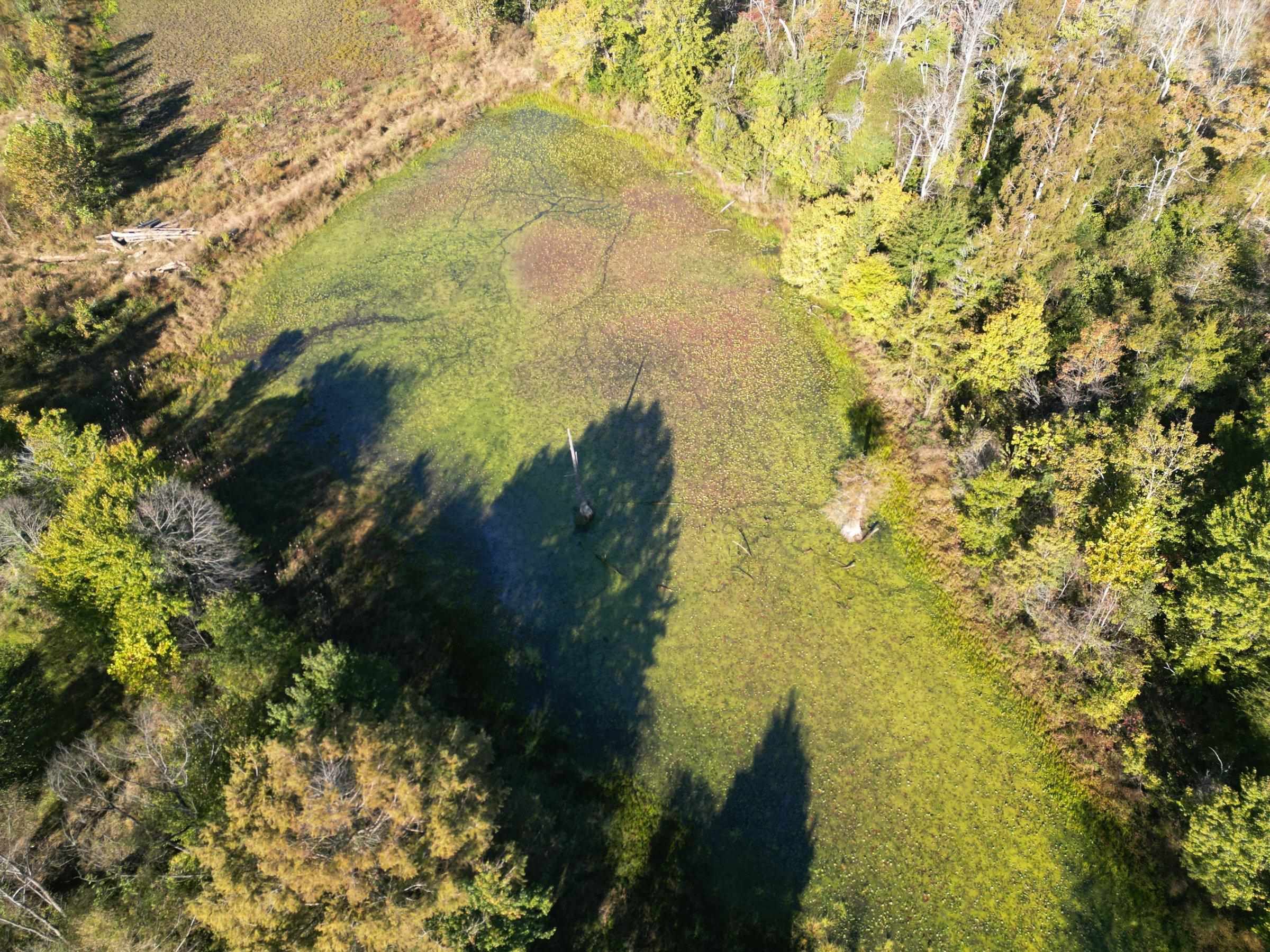 Tract 5 Overton Loop Property Photo 1