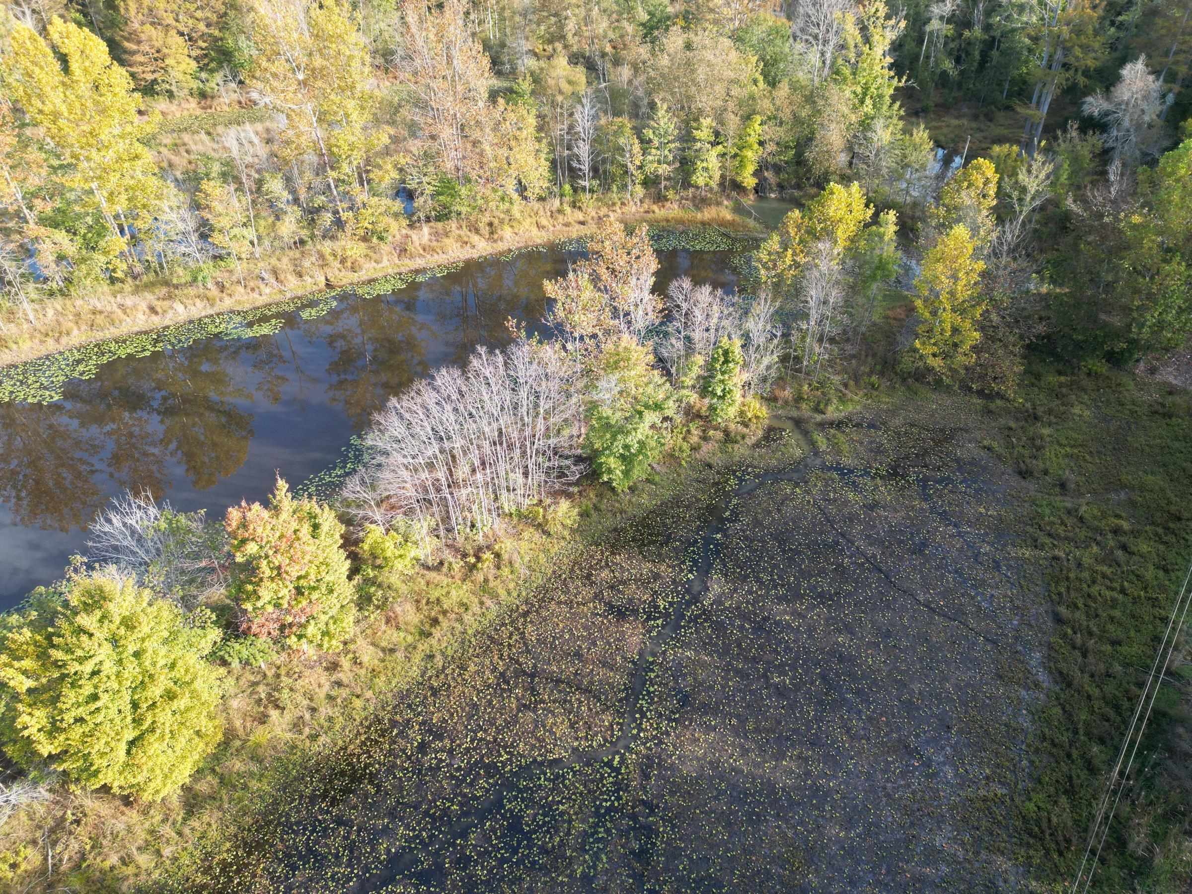 Tract 6 Overton Loop Property Photo 1