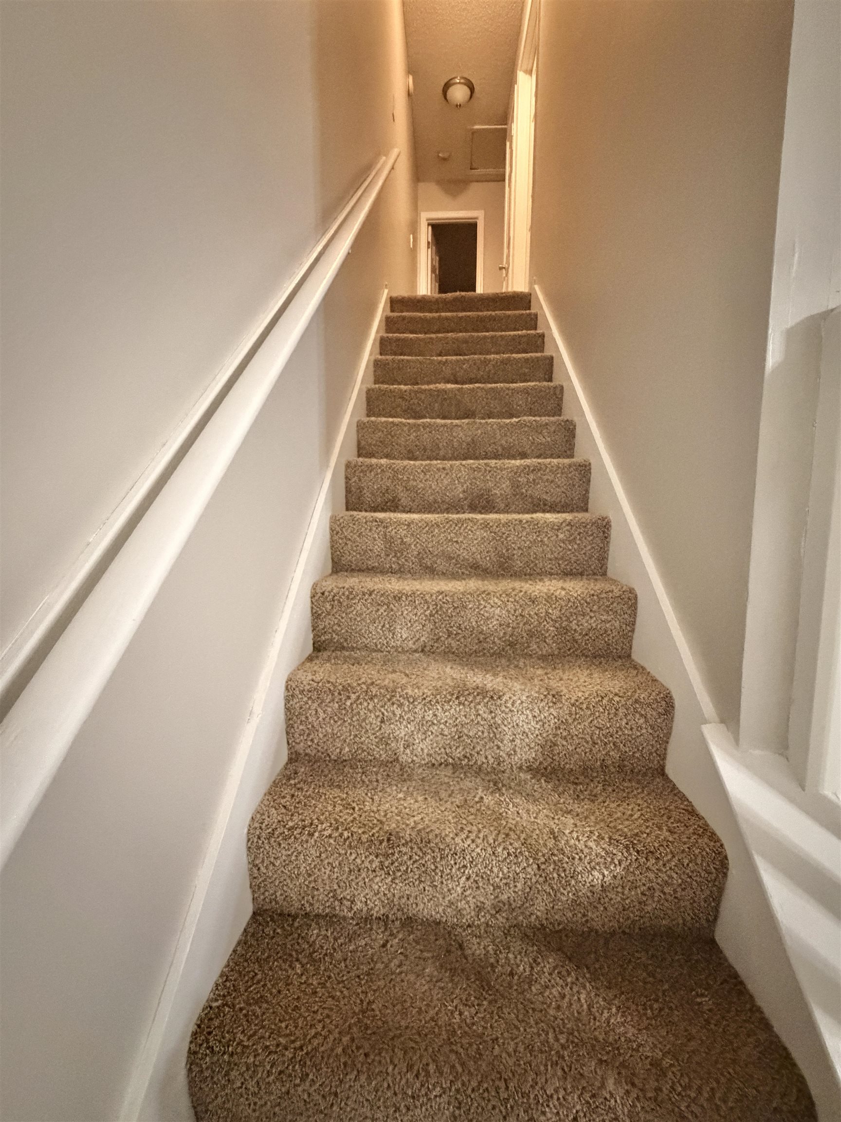 1615 Old Mill Stream Dr Property Photo 29