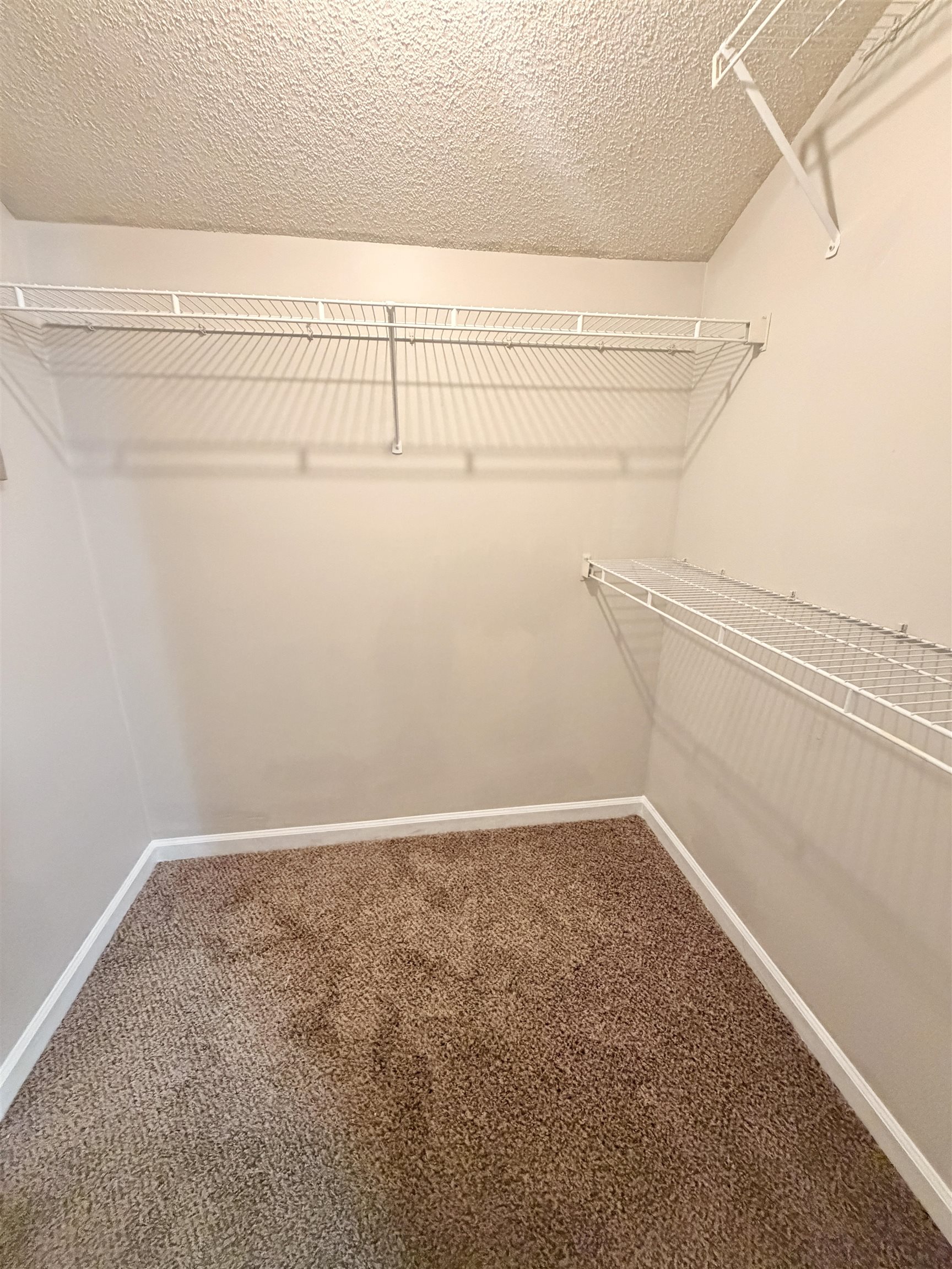 1615 Old Mill Stream Dr Property Photo 33