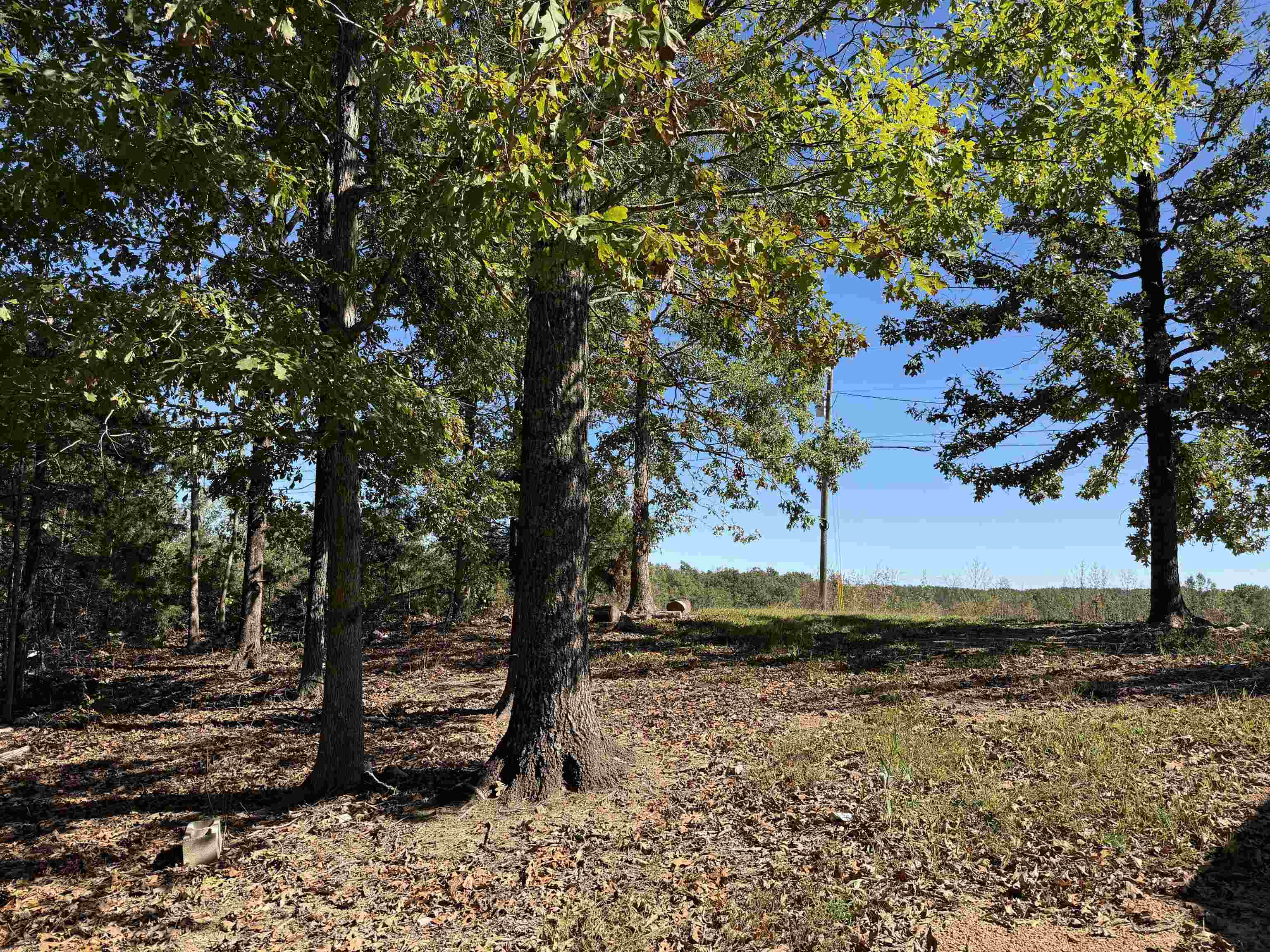 500 Coy Hill Rd Property Photo 3