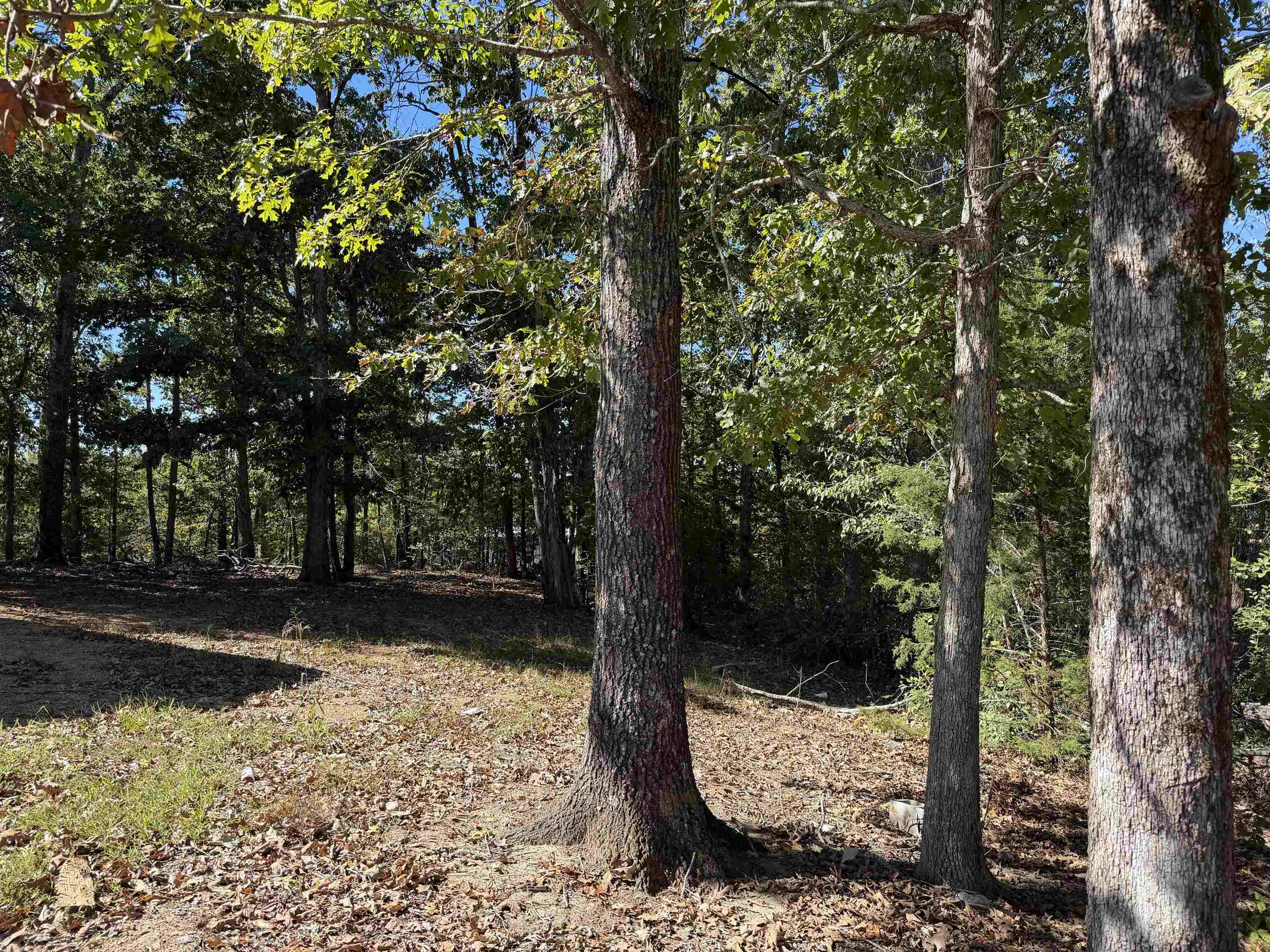 500 Coy Hill Rd Property Photo 23