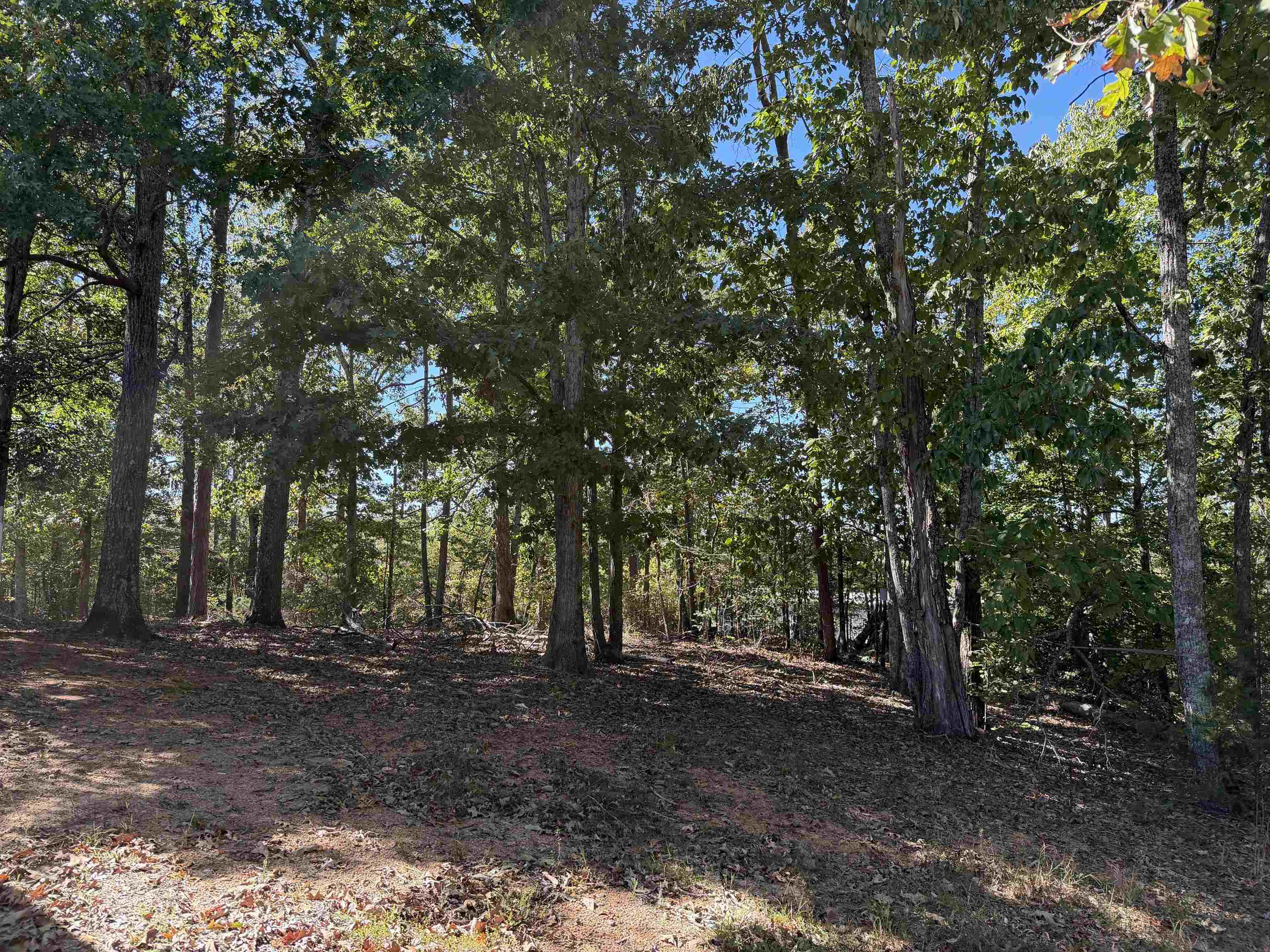 500 Coy Hill Rd Property Photo 24