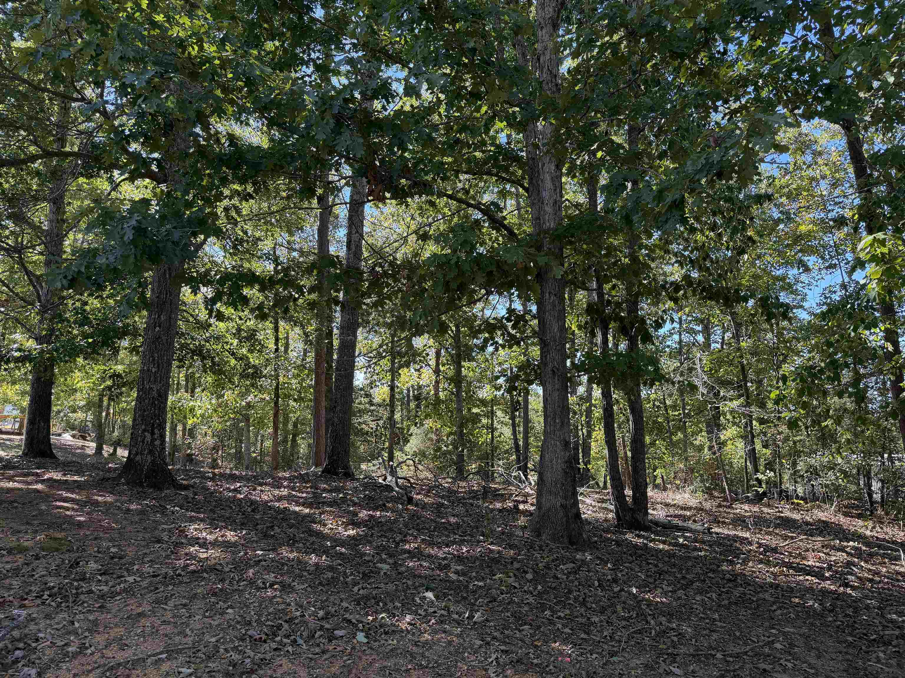 500 Coy Hill Rd Property Photo 25