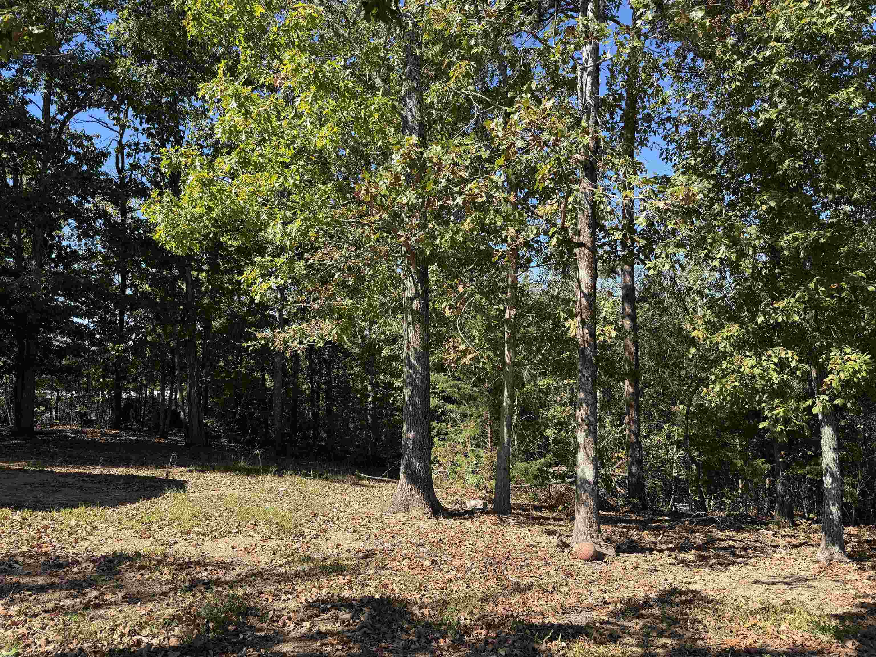 500 Coy Hill Rd Property Photo 26