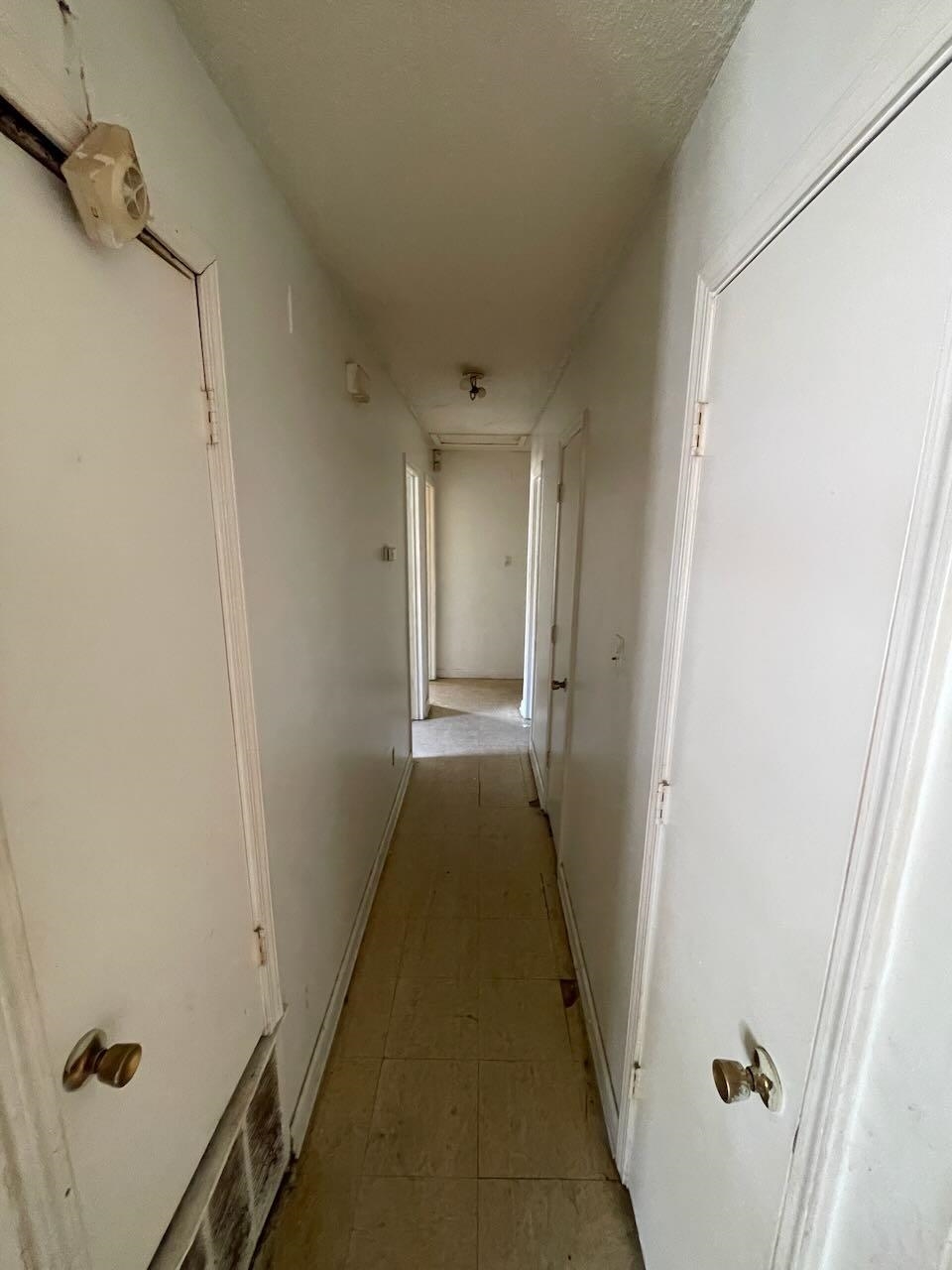 207 W Fairway Ave Property Photo 15