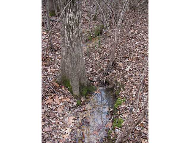 0 Mccullough Road Property Photo 3