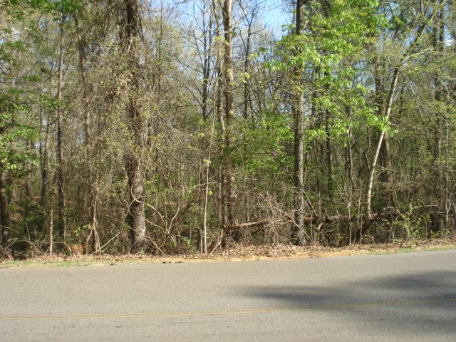 229 Sandpiper Pt Property Photo 2