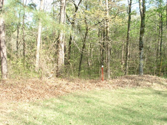 505a Briar Creek Rd Property Photo 2