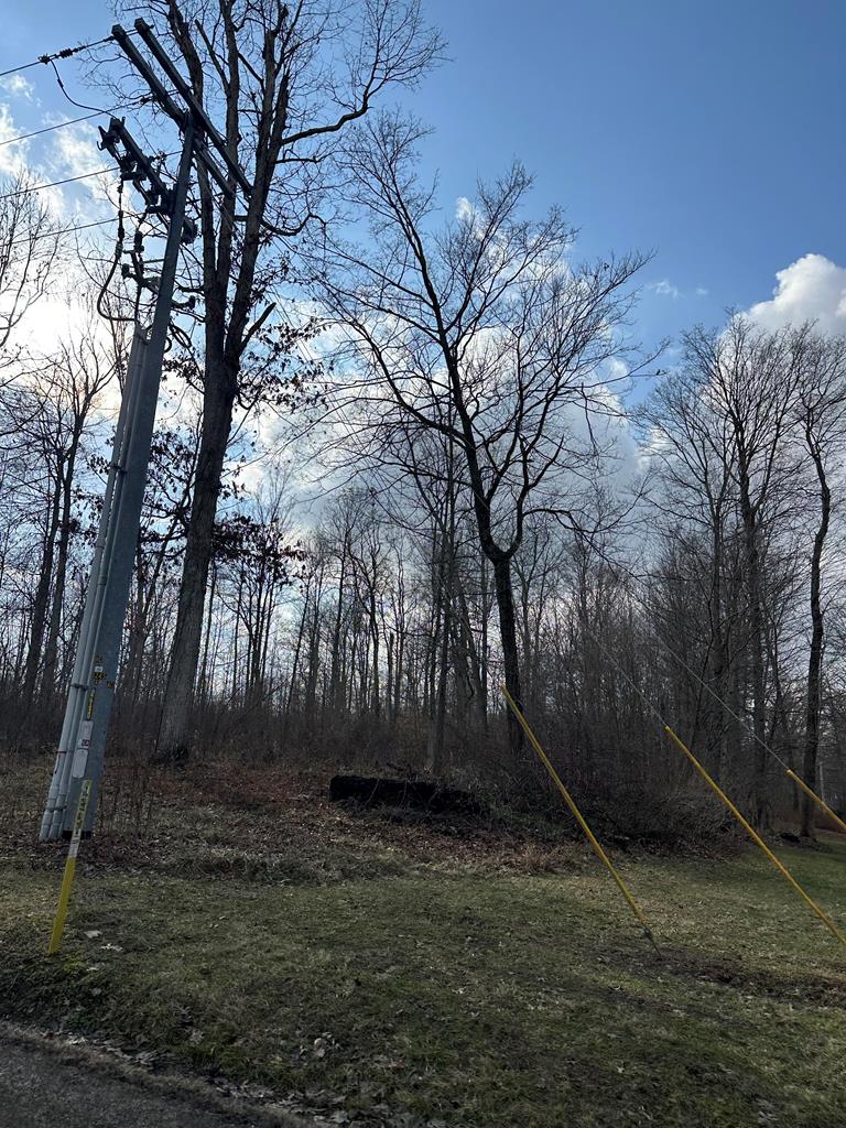 12651 Grant Rd Property Photo 1