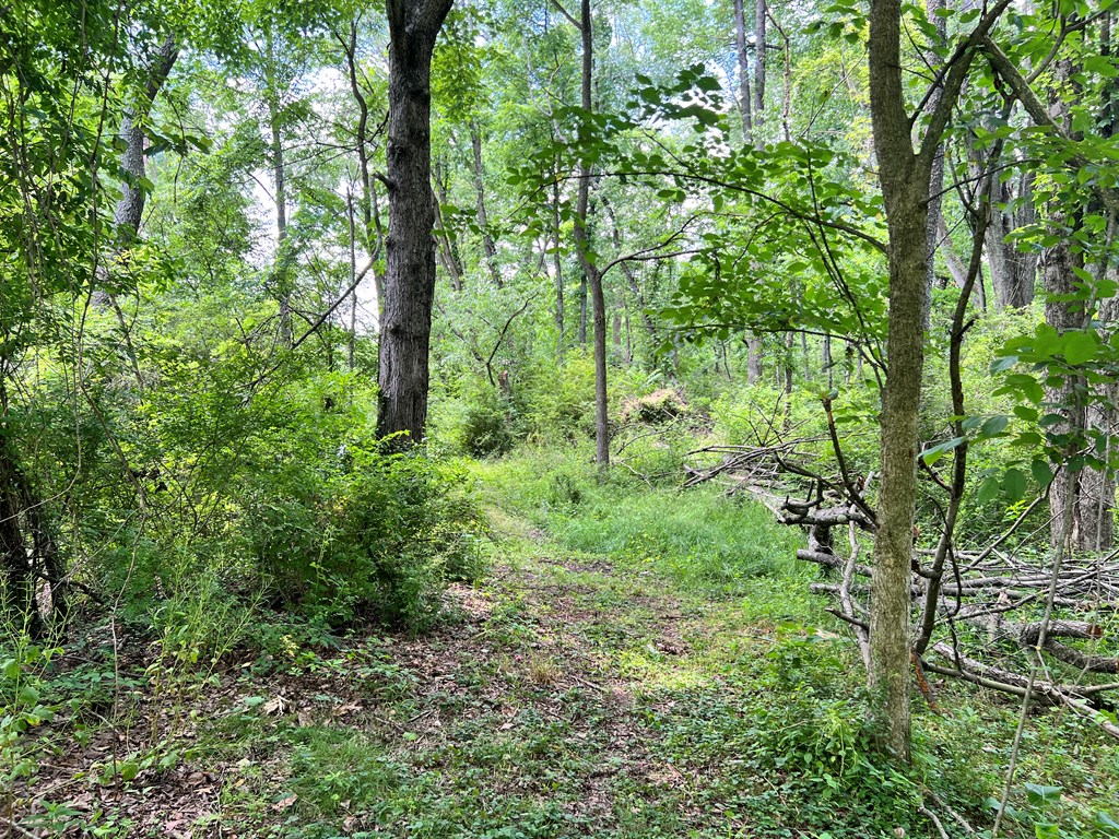 0 Snyder Ave. Property Photo 16