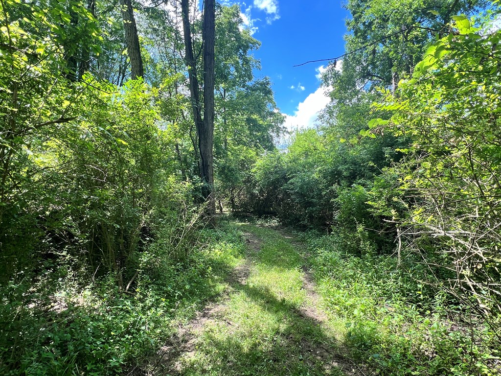 0 Snyder Ave. Property Photo 17