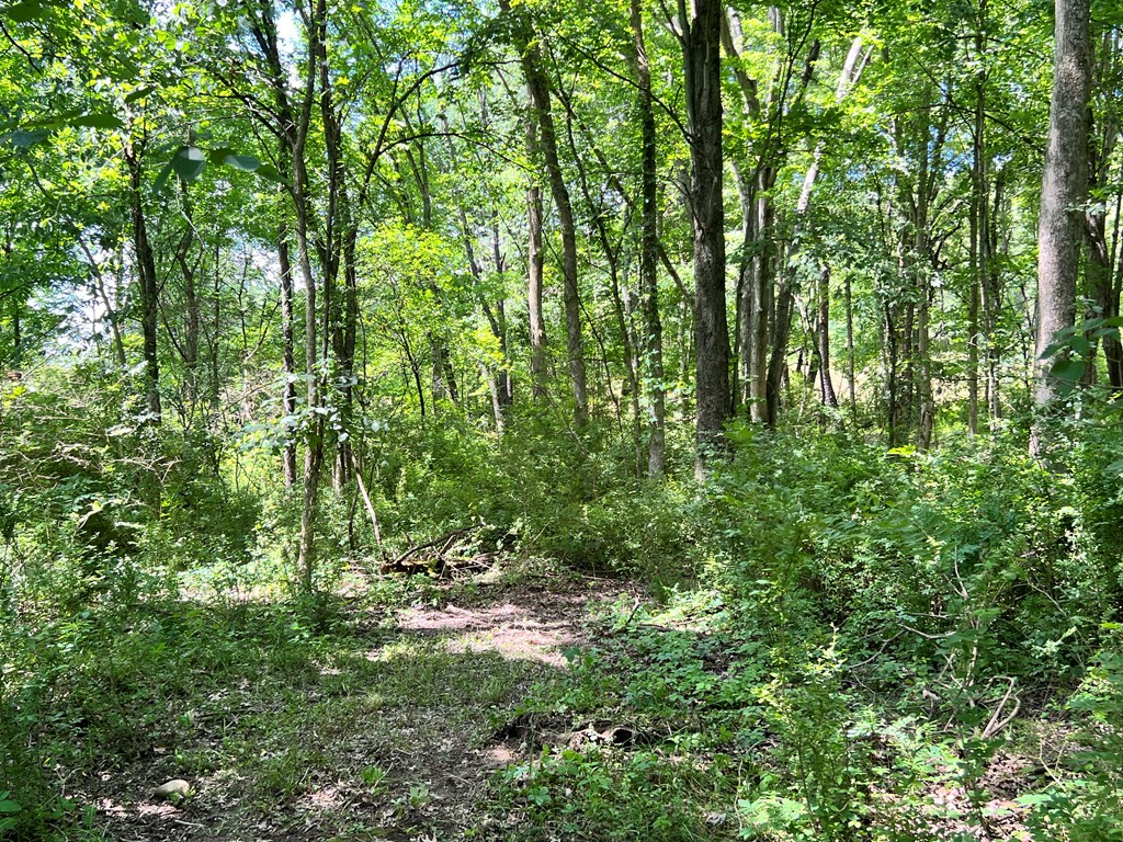 0 Snyder Ave. Property Photo 24