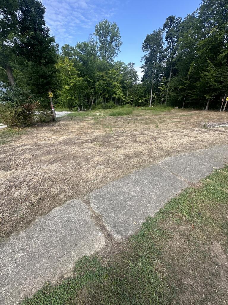 0 Hollywood Lane Property Photo 1