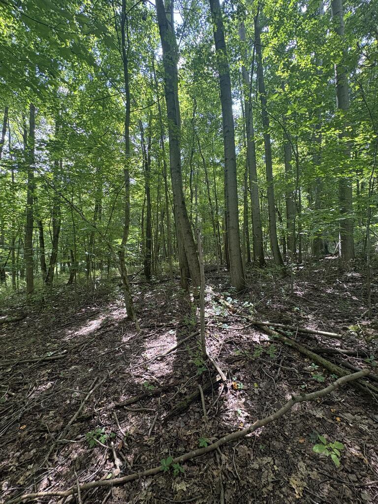 0 State Route 13 Property Photo 1