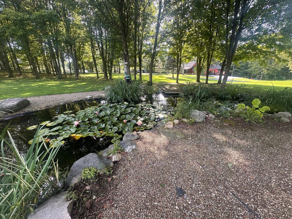 1032 County Road 2256 Property Photo 97