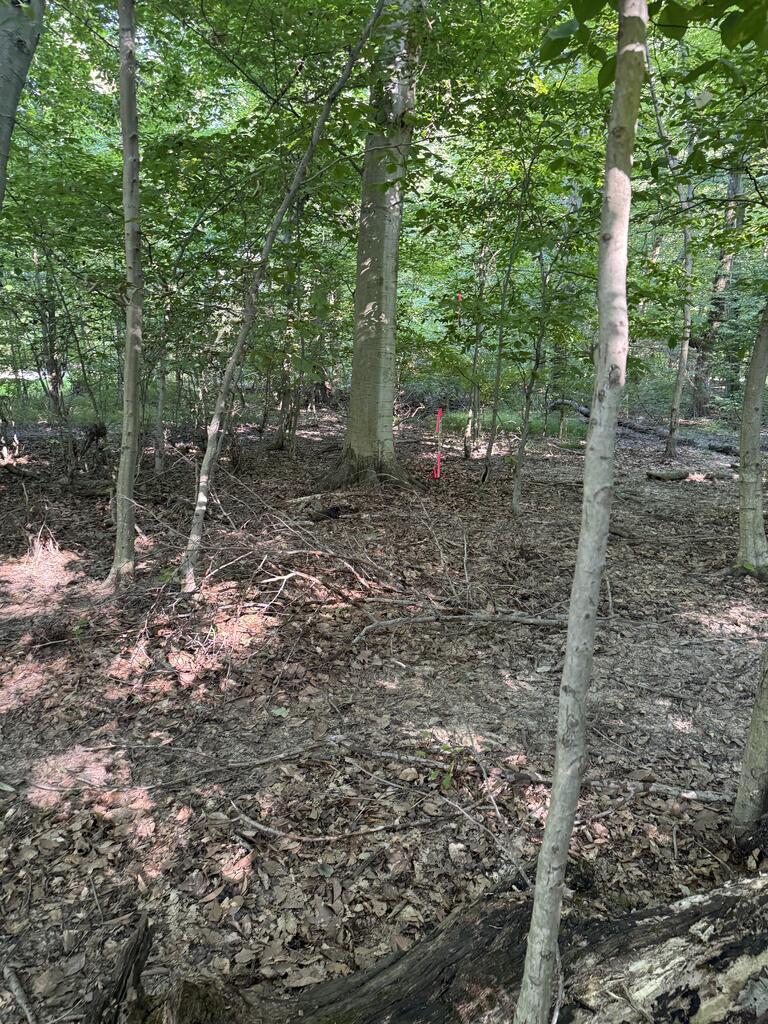 4 Arrowhead Ct Property Photo 2