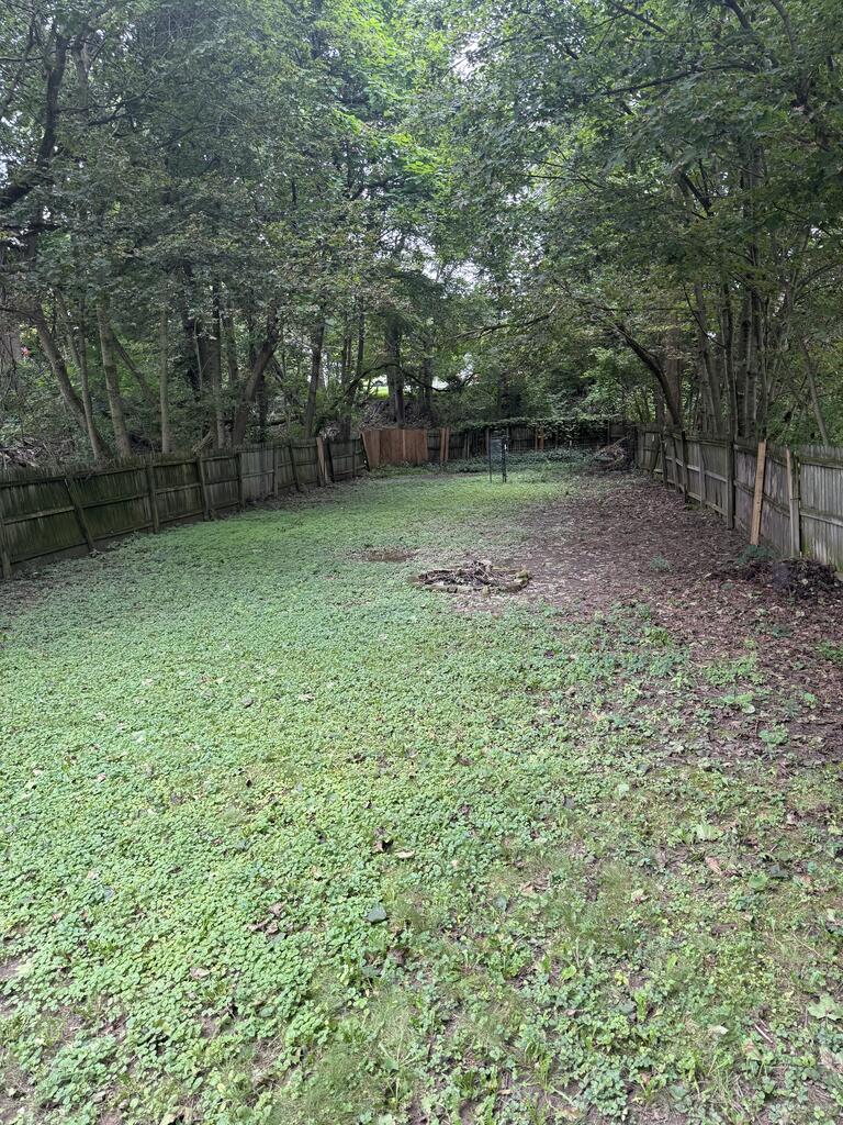 643 W Third St Property Photo 10