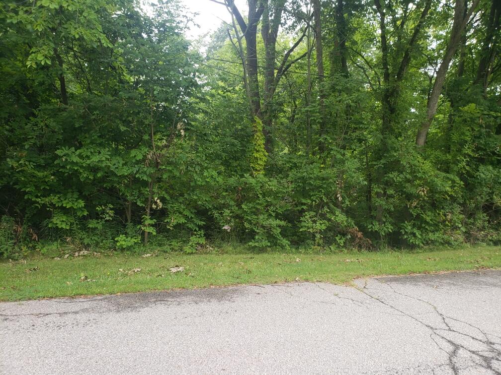 0 Elizabeth Ave Property Photo 1