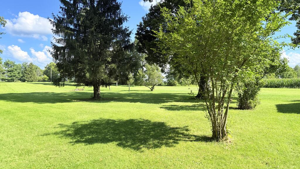184 Rinehart Road Property Photo 29