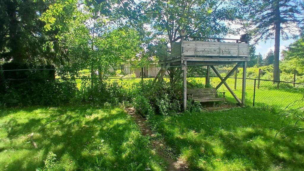 511 Mcdondald Ave Property Photo 7