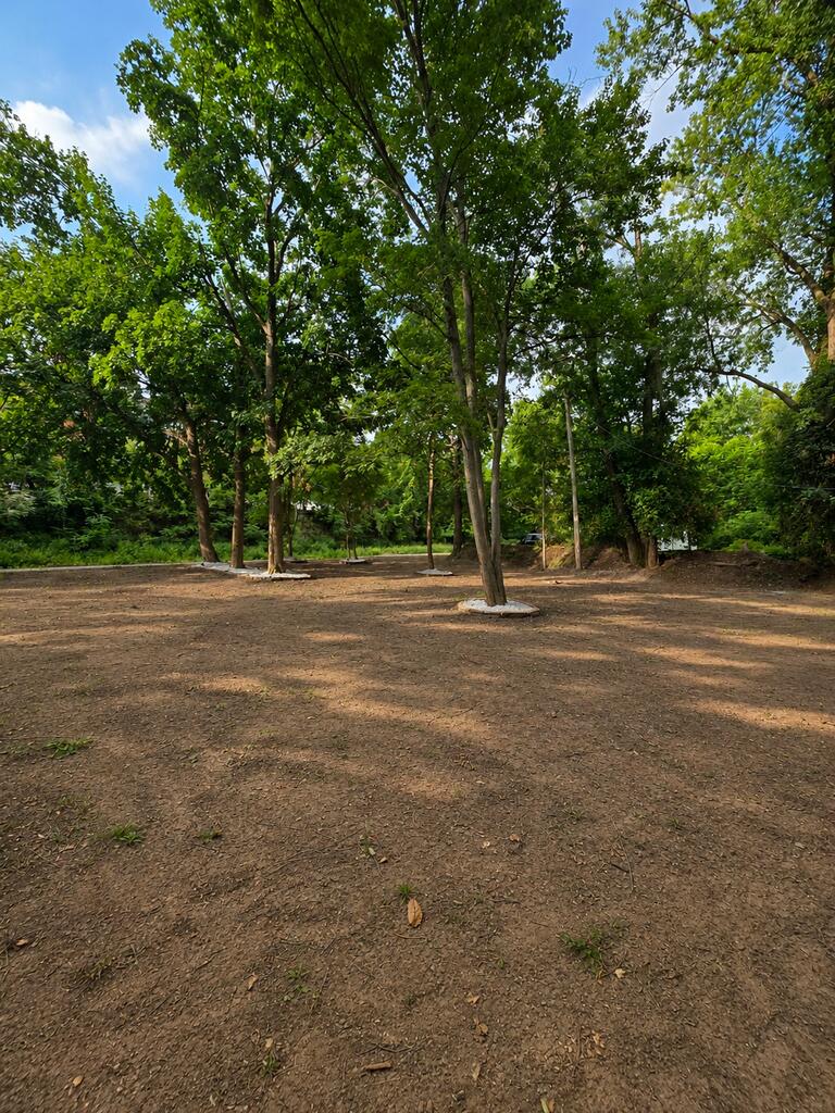 523 Cherry Property Photo 21