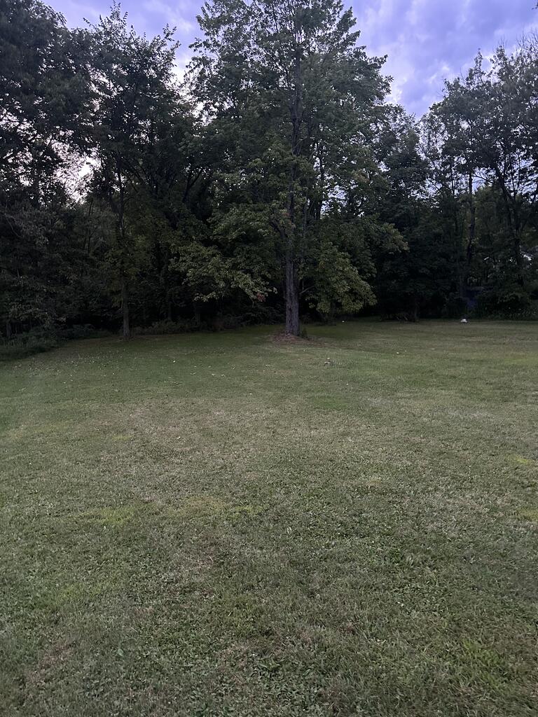 349 Detroit Property Photo 5