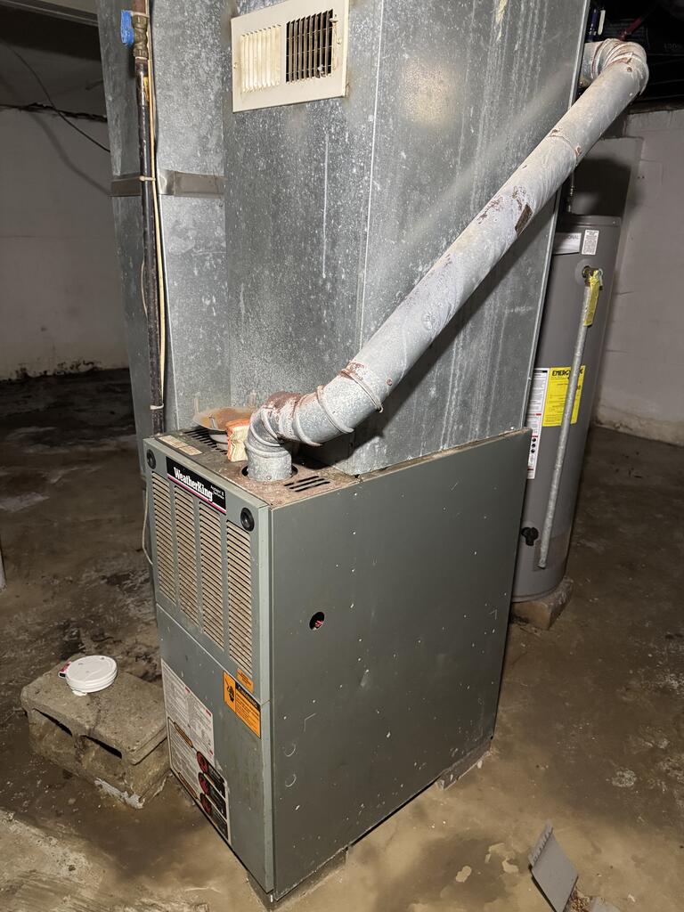 541 Burns St Property Photo 16
