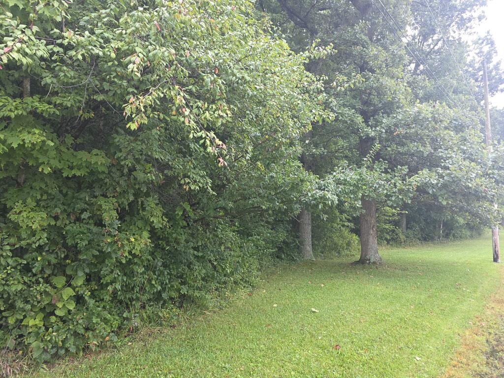 5205 County Road 9 Property Photo 1
