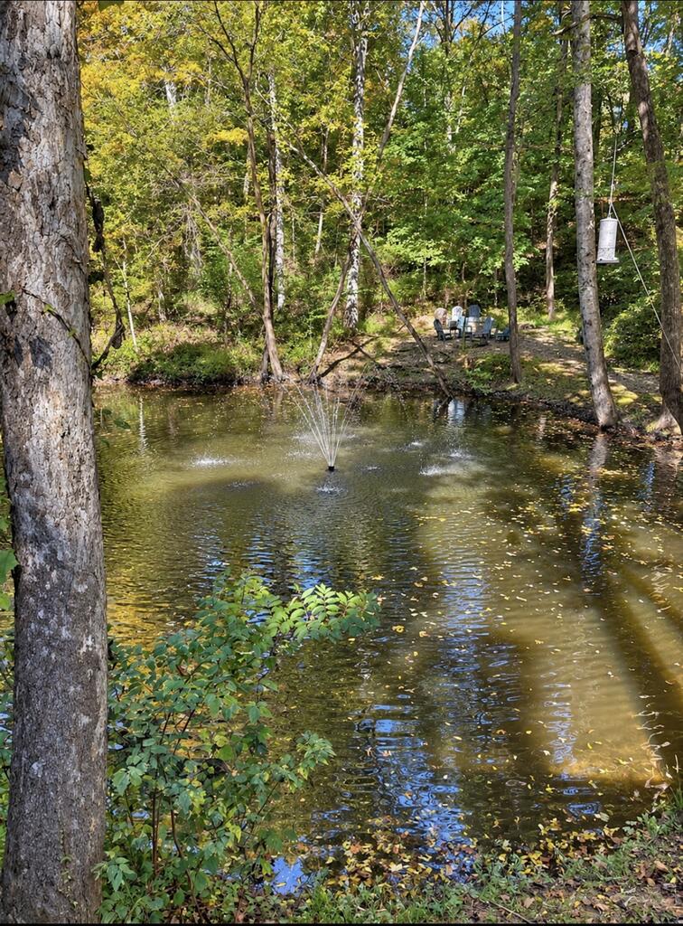 15105 State Route 678 Property Photo 4