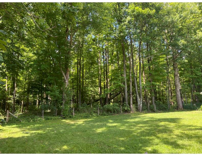 0 Banyan Ln Property Photo 4