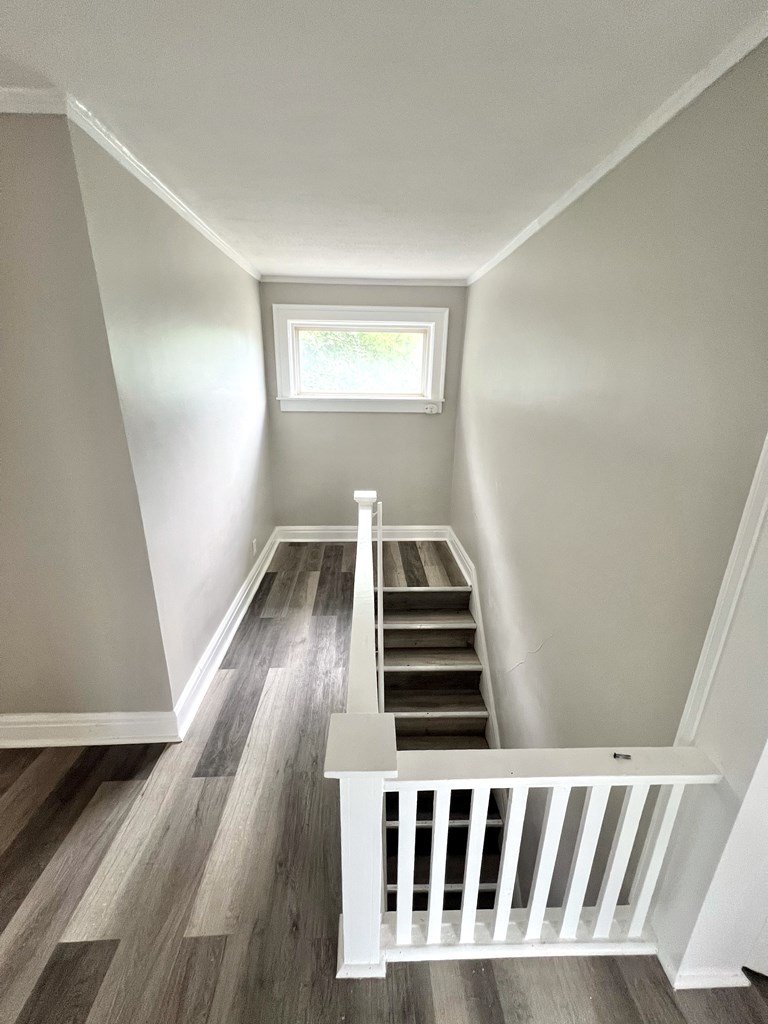 81 Bartley Avenue Property Photo 15