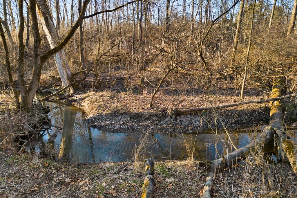 0 State Route 42 Property Photo 13