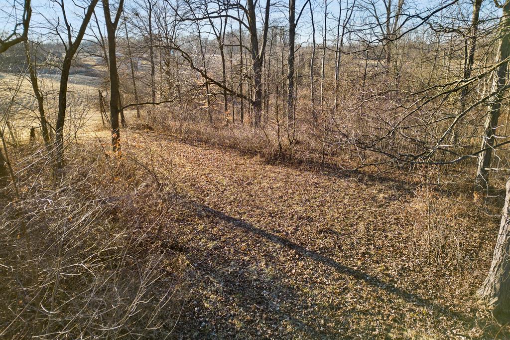 0 State Route 42 Property Photo 17