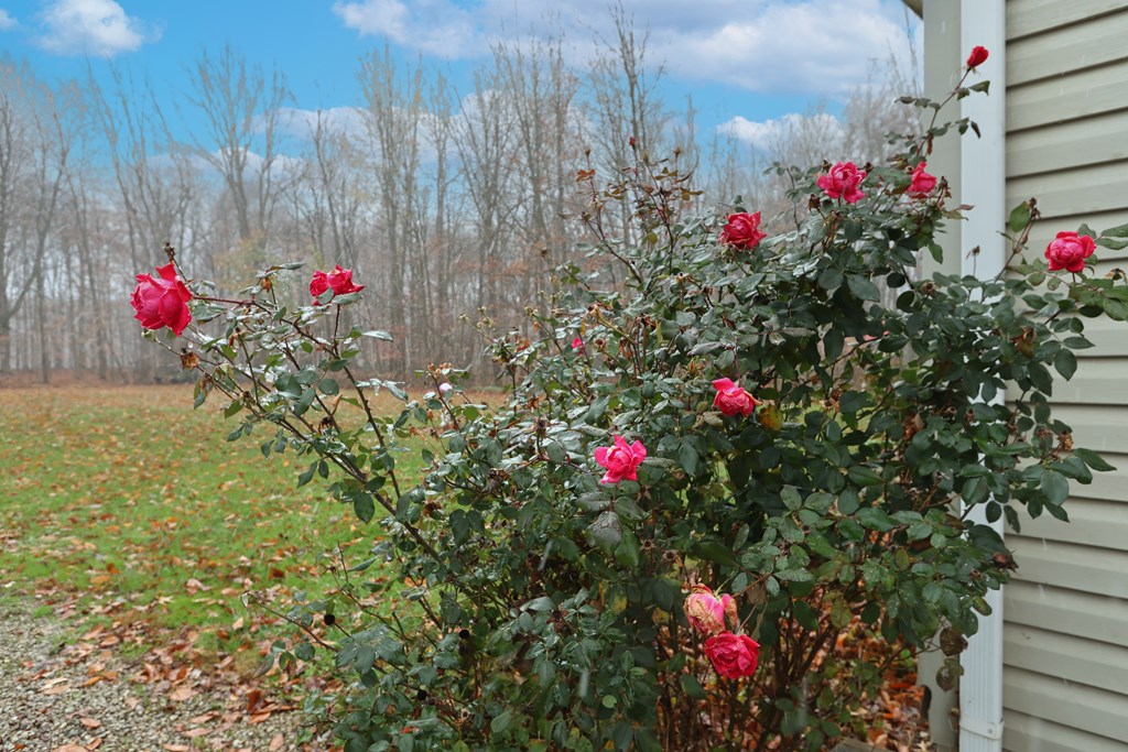 3895 Chatfield Center Road Property Photo 57