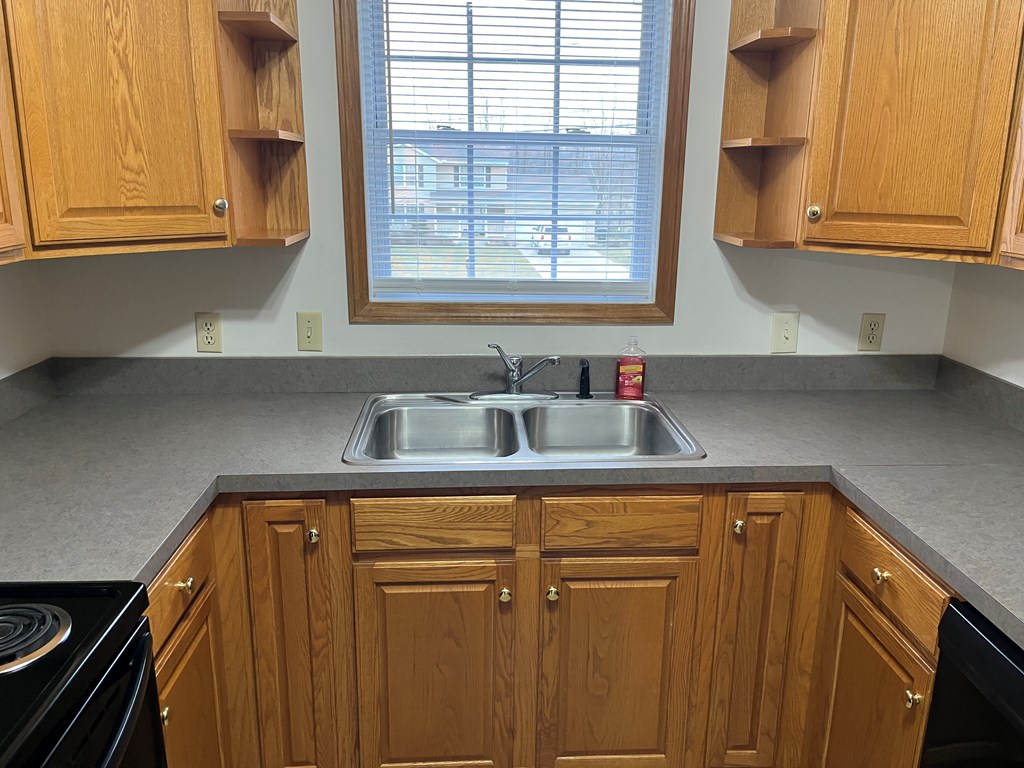 1607 Spring Village Ln. Property Photo 5