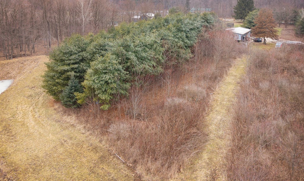 9508 Gregg Road Property Photo 19