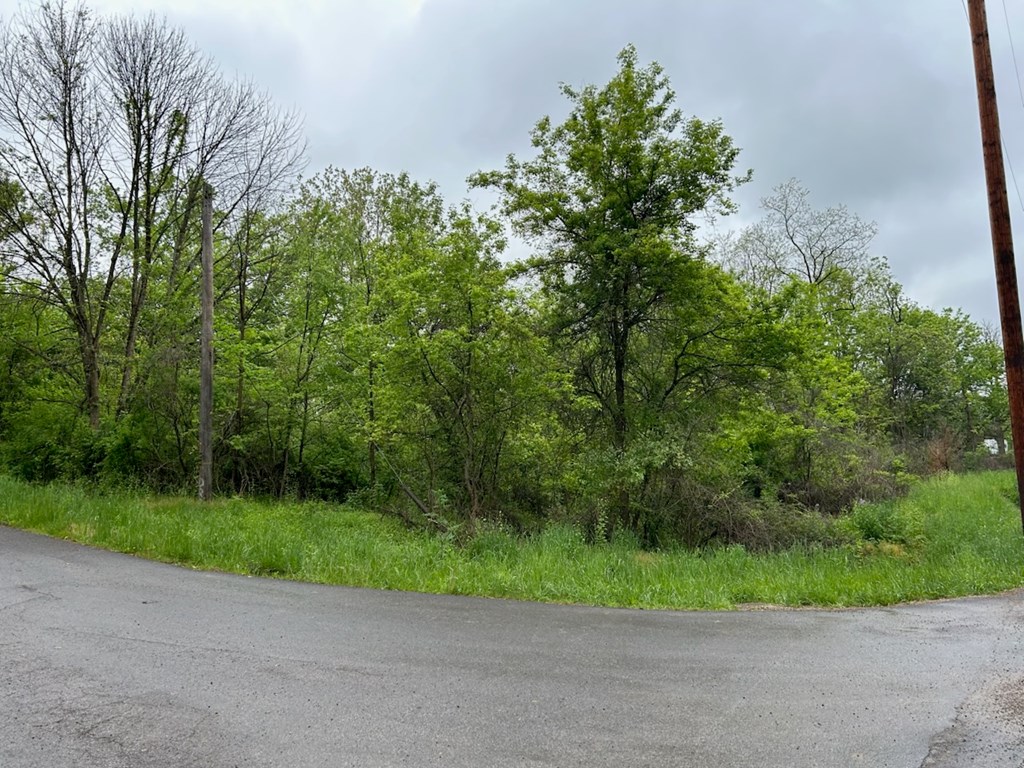 0 Herring Avenue Property Photo 3