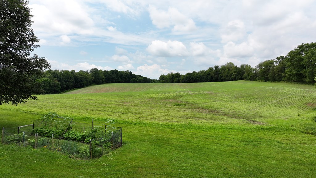 608 Woodruff Property Photo 3