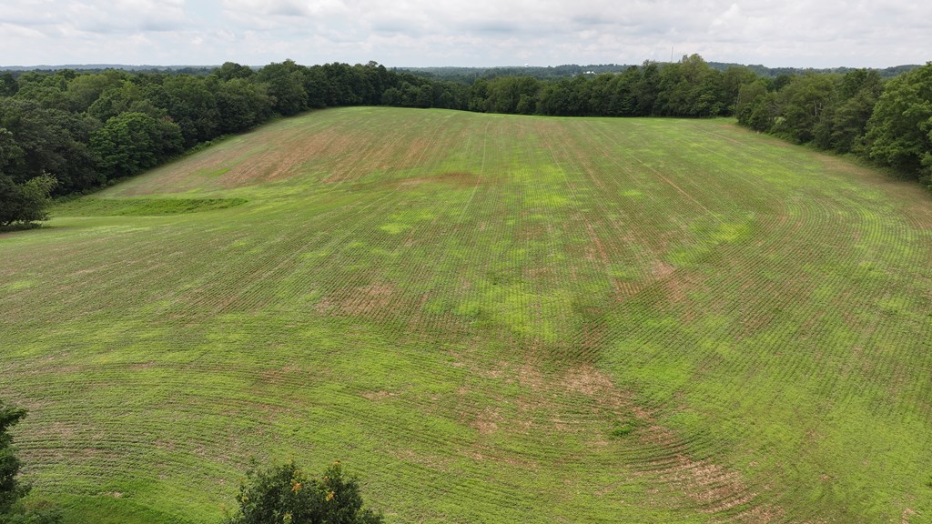 608 Woodruff Property Photo 4