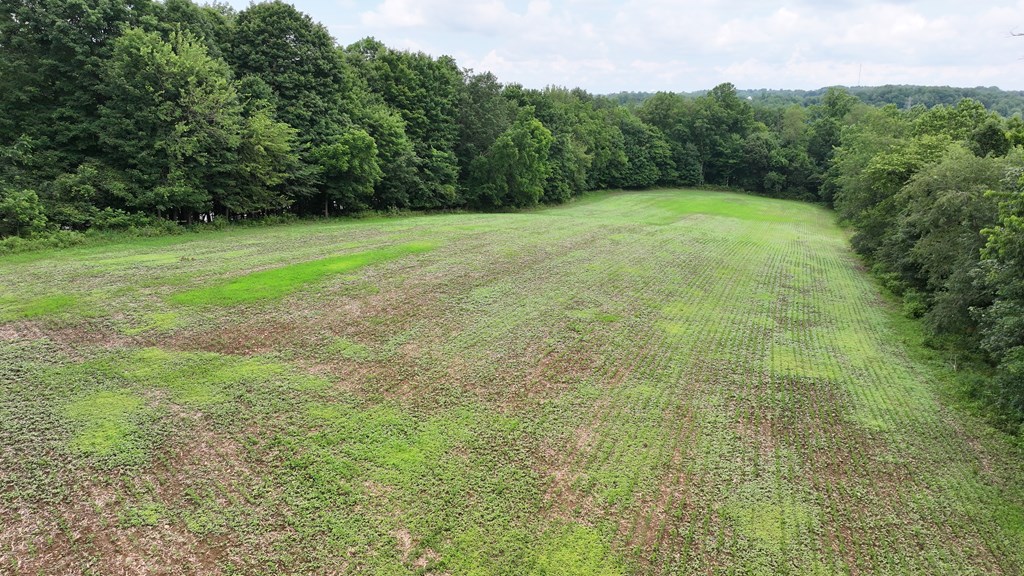 608 Woodruff Property Photo 5
