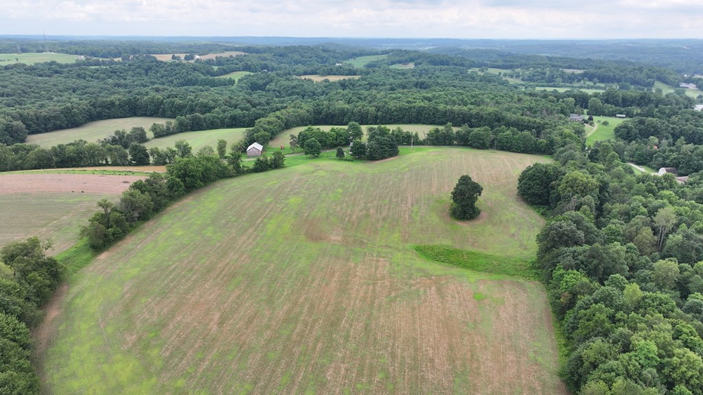 608 Woodruff Property Photo 13