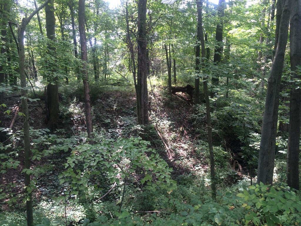 620 Running Brook Way Property Photo 19