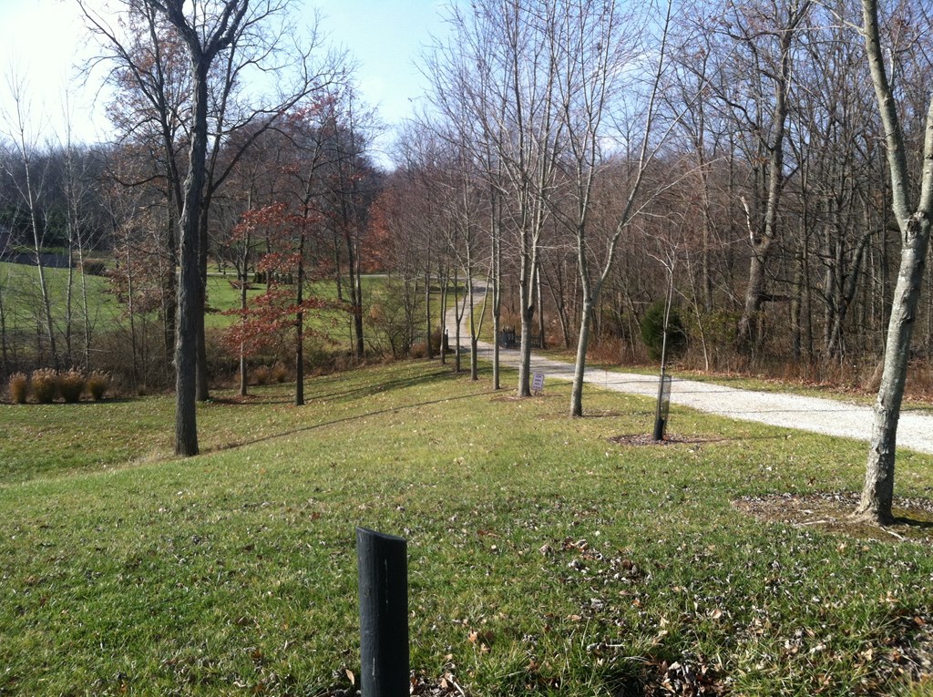 620 Running Brook Way Property Photo 21