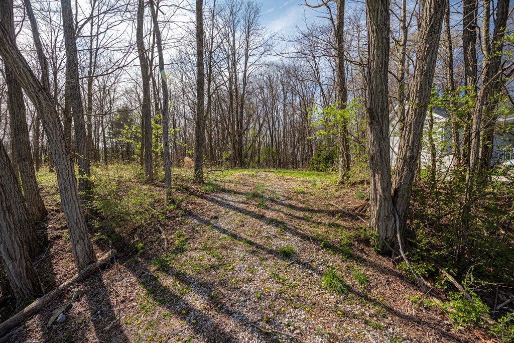 7326 State Route 19 Property Photo 8