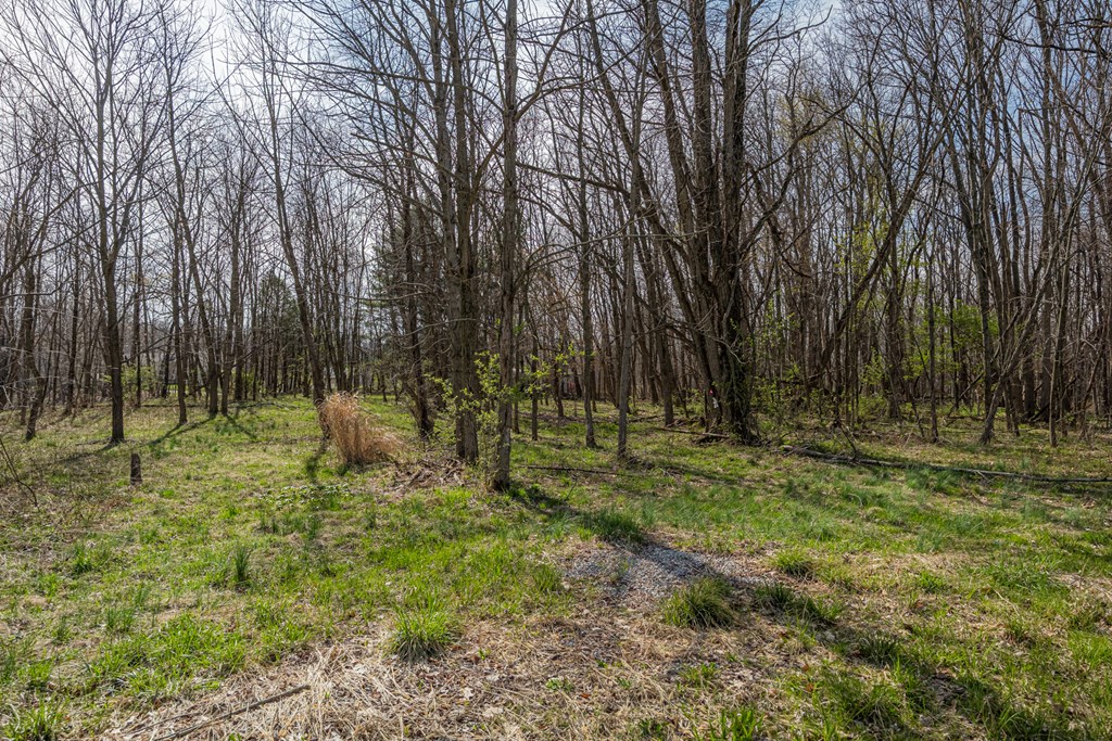 7326 State Route 19 Property Photo 9