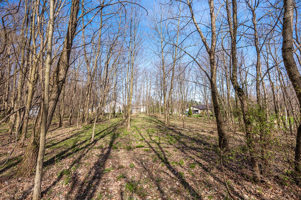 7326 State Route 19 Property Photo 10